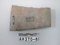 藏品(磨製石斧)的圖片